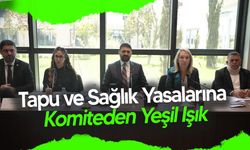 Tapu Kadastro ve Yataklı Tedavi Kurumları Yasalarına Komite Onayı