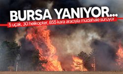 Bursa’da orman yangını... Ekiplerin müdahalesi sürüyor
