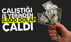 Çalıştığı iş yerinde hırsızlık yapan şahıs tutuklandı!