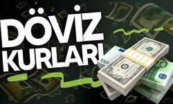 Döviz Kurları Yükselişini Sürdürüyor
