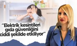 GMO Başkanı Oymen: Elektrik Kesintileri Gıda Güvenliğini Ciddi Şekilde Tehdit Ediyor