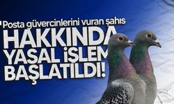 Gönyeli’de 71 yaşındaki şahıs hava tüfeğiyle iki güvercini vurdu