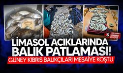 Güney Kıbrıs’ta Kafesler patladı, deniz levrekle doldu taştı!