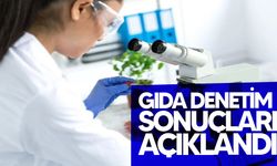 Haftalık gıda denetim: Yerli sultani üzümde limit üstü, rokada tavsiye dışı bitki koruma ürününe rastlandı