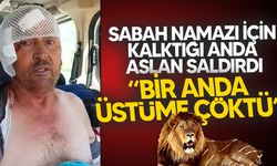 Manavgat’ta Firari Aslanla Boğuşan Adam O Anları Anlattı: “Bir Anda Üstüme Çöktü”