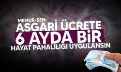 Memur-Sen, asgari ücrete 6 ayda bir hayat pahalılığı uygulanmasını talep etti