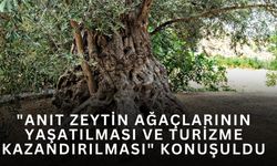 Organizasyon, ODTÜ Kültür Kongre Merkezi’nde yapıldı