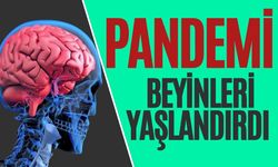 “COVID geçirmeyenlerde bile belirgin artış gördük"