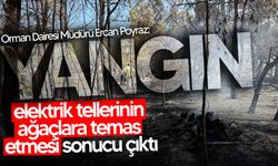 Poyraz: “Yangın, elektrik tellerinin ağaçlara temas etmesi sonucu çıktı”