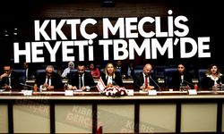 TBMM Güvenlik Komisyonu Başkanı Tipioğlu: “Kıbrıs Türkü’nün Mücadelesi Haklıdır”