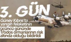 Trodos ormanları tehlike altında!