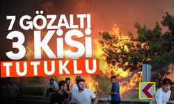Türkiye'de Orman Yangınlarıyla İlgili 3 Kişi Tutuklandı