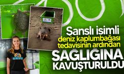 Yumurtlama döneminde olan şanslı, Meritta ile yeniden hayata tutundu