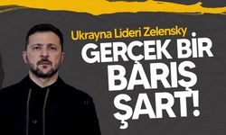 Zelensky: Gerçek Barış İçin Liderlik Zirvesi Gerekli