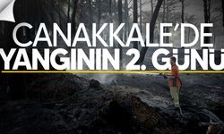 Çanakkale’de Orman Yangınlarına Müdahale 2. Gününde Sürüyor
