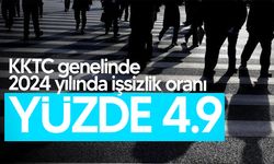 İstatistik Kurumu, 2024 yılına ait Hanehalkı İşgücü Anketi sonuçlarını açıkladı