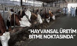 Hayvan Üreticileri ve Yetiştiricileri Birliği'nden Tarım Bakanlığı'na sert eleştiri!