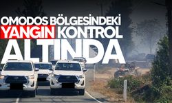 Omodos bölgesinde öğle saatlerinde çıkan yangın kontrol altında