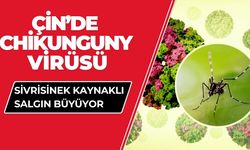 Virüsü tespit edilen kişi sayısı 7 bini aştı