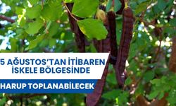 Kaymakamlıktan yapılan açıklama