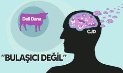 Sağlık Bakanlığı’ndan CJD açıklaması: KKTC'de bir vaka görüldü!