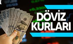 Dolar Rekor Tazeledi: Son Bir Ayın En Yüksek Seviyesi