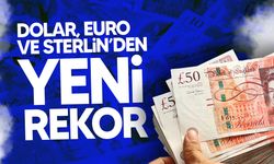 Döviz kurları rekor tazeledi