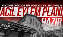 Hükümetten Koop Süt, Binboğa ve Levazım için acil eylem planı hazır
