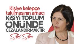 Sibel Siber'den kelepçe eleştirisi