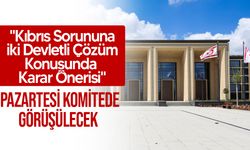 İki devletli çözüm önerisi Pazartesi günü Meclis komitesinde görüşülecek