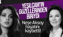 Yeşilçam’ın Sevilen Yıldızından Acı Haber: Neşe Aksoy Hayatını Kaybetti