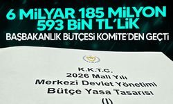 6 milyar 185 milyon 593 bin TL’lik Başbakanlık bütçesi Komite’den geçti