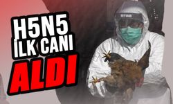 ABD’de H5N5 kuş Gribi Nedeniyle İlk İnsan Ölümü