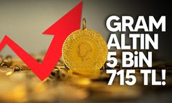 ABD'de hükümet açılınca altın da yükselişini hızlandırdı