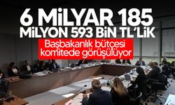 Başbakanlık bütçesi komitede görüşülüyor