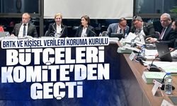 BRTK ve Kişisel Verileri Koruma Kurulu bütçeleri Komite’den oyçokluğuyla geçti