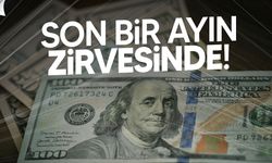 Dolar son bir ayın zirvesinde