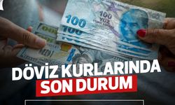 Dövizde Son Durum