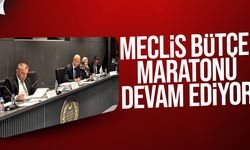 Komite’de kritik bütçe günü: Başsavcılık onaylandı, Sayıştay görüşülüyor