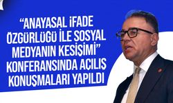 Özerdağ: “Yüksek Mahkeme'nin Kıbrıs Türk halkının tarihsel geçmişine büyük hizmetleri oldu”