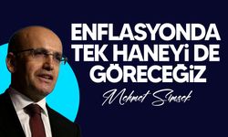 Şimşek: "Enflasyonda tek haneyi de göreceğiz"