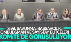 Sivil Savunma, Başsavcılık, Ombudsman ve Sayıştay bütçeleri Komite’de görüşülüyor