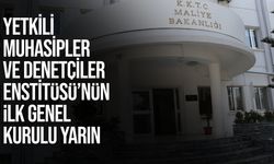 Yetkili Muhasipler ve Denetçiler Enstitüsü İlk Genel Kurulunu yarın gerçekleştiriyor