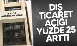 2024 Ödemeler Dengesi Açıklandı