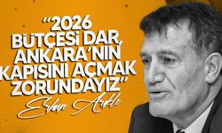 Arıklı: “İcraat ve yatırım imkânlarımız çok sınırlı olacak”