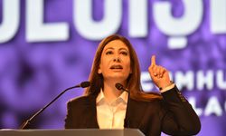 İncirli: "AP görevlendirmelerinin sorumluluğu partiye aittir"