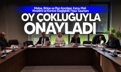 Bütçe ve Plan Komitesi, Kamu Mali Yönetimi ve Kontrol (Değişiklik) Yasa Tasarısı oy çokluğuyla onaylandı