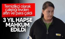 Çalıştığı evden hırsızlık yapan şahıs 3 yıl hapse mahkum edildi!