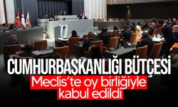 Cumhurbaşkanlığı’nın 801 milyon TL’lik bütçesi Meclis’te oy birliğiyle kabul edildi