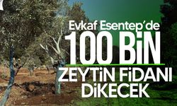 Evkaf’tan 100 Bin Zeytin Fidanı Projesi: Esentepe’de Dikim Töreni